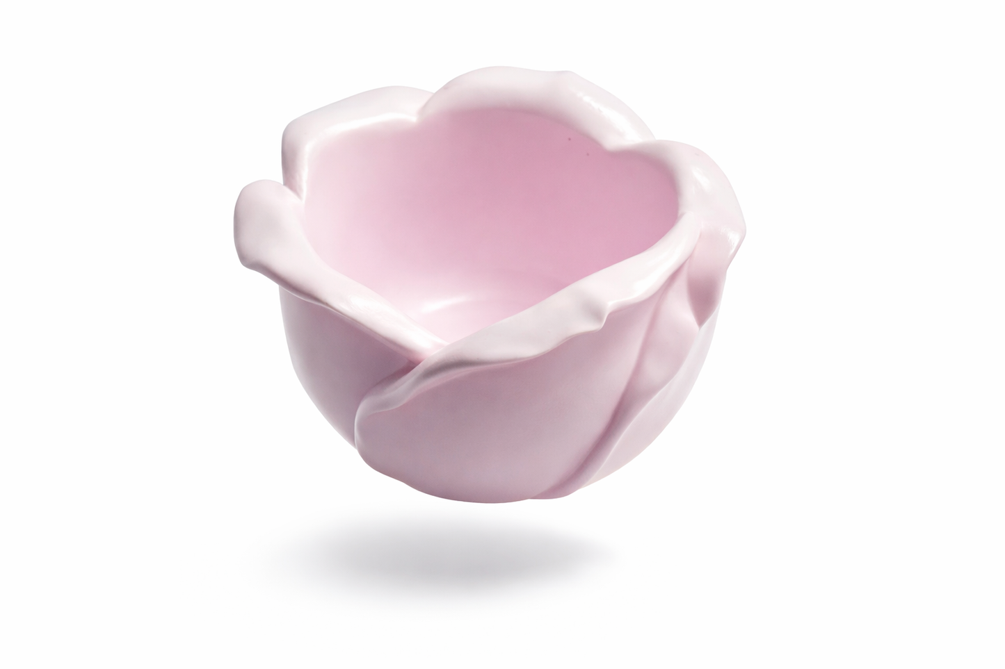 Everlasting Rose - Forever in Bloom Collection