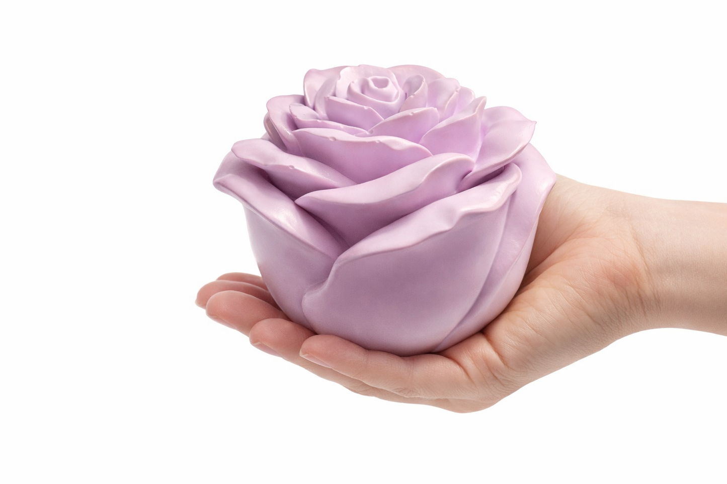 Everlasting Rose - Forever in Bloom Collection