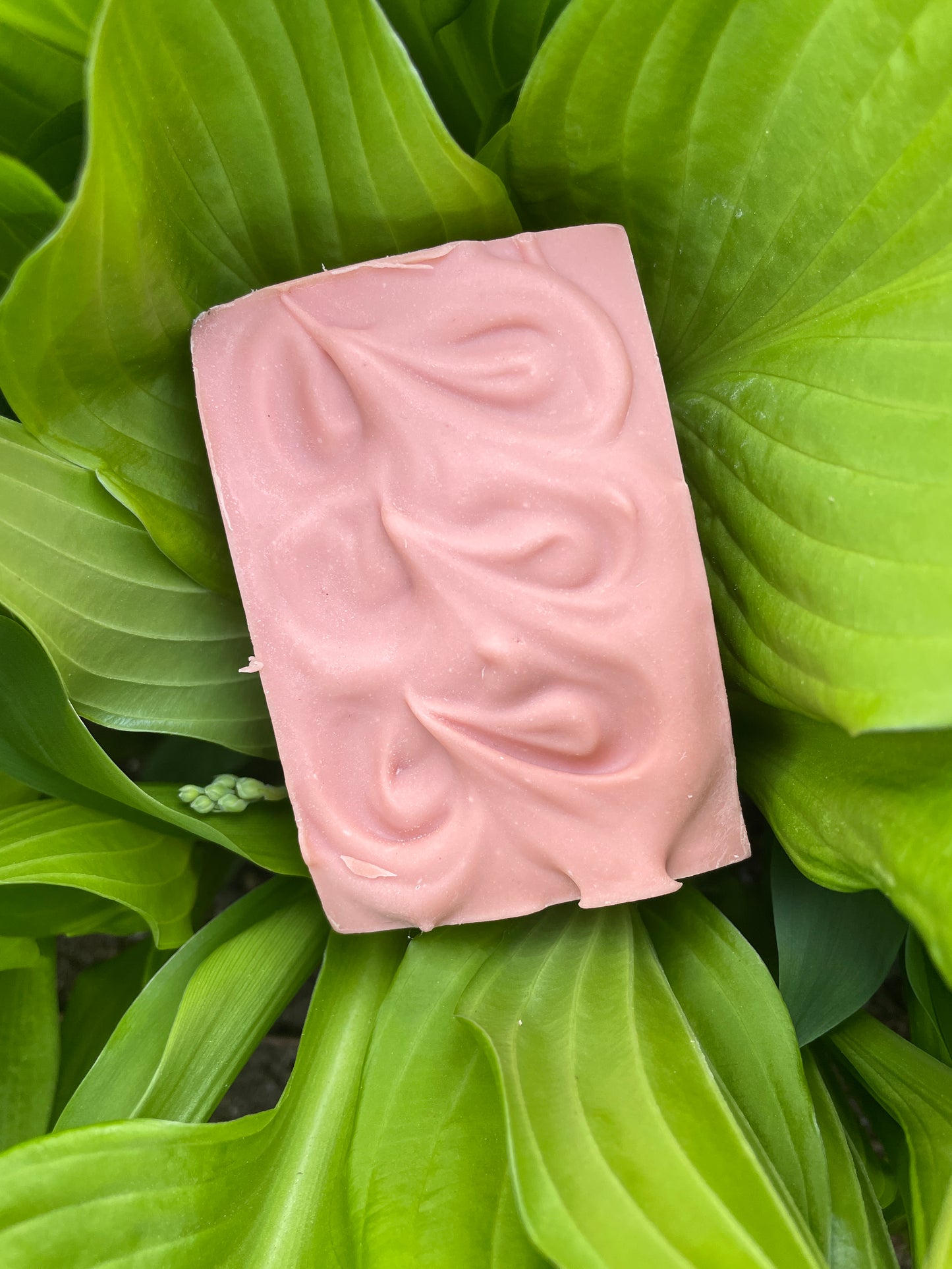 Coconut Rose Face Soap